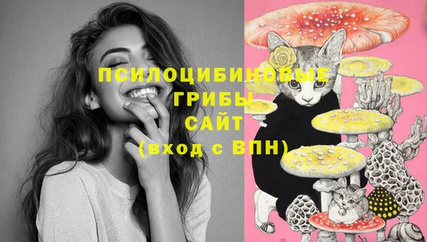 таблы Магас