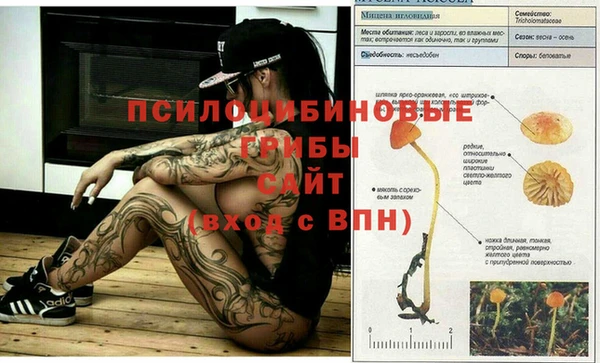 альфа пвп Майский