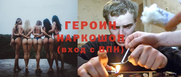 сатива Куйбышев